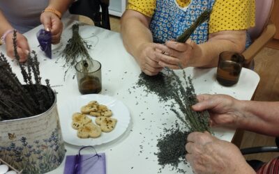 Ohlédnutí za rokem 2022