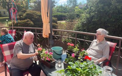 Aktivizace na vile Albert 2024